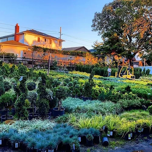Eberhard-Voellm Nurseries, business photo 6
