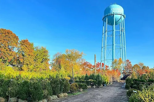 Eberhard-Voellm Nurseries, business photo 4
