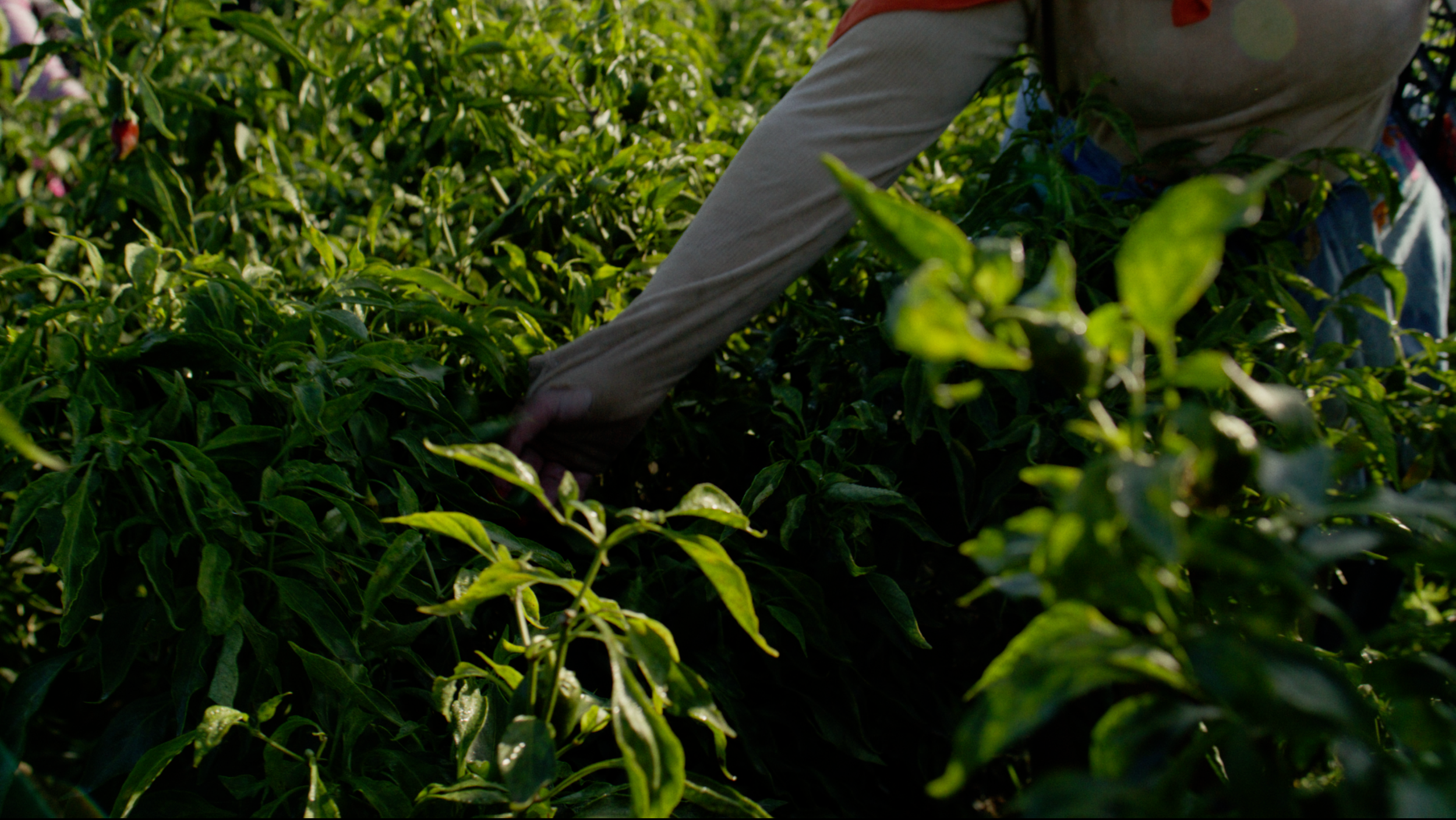 Screenshot 2026-03-25 at 14.43.30.png