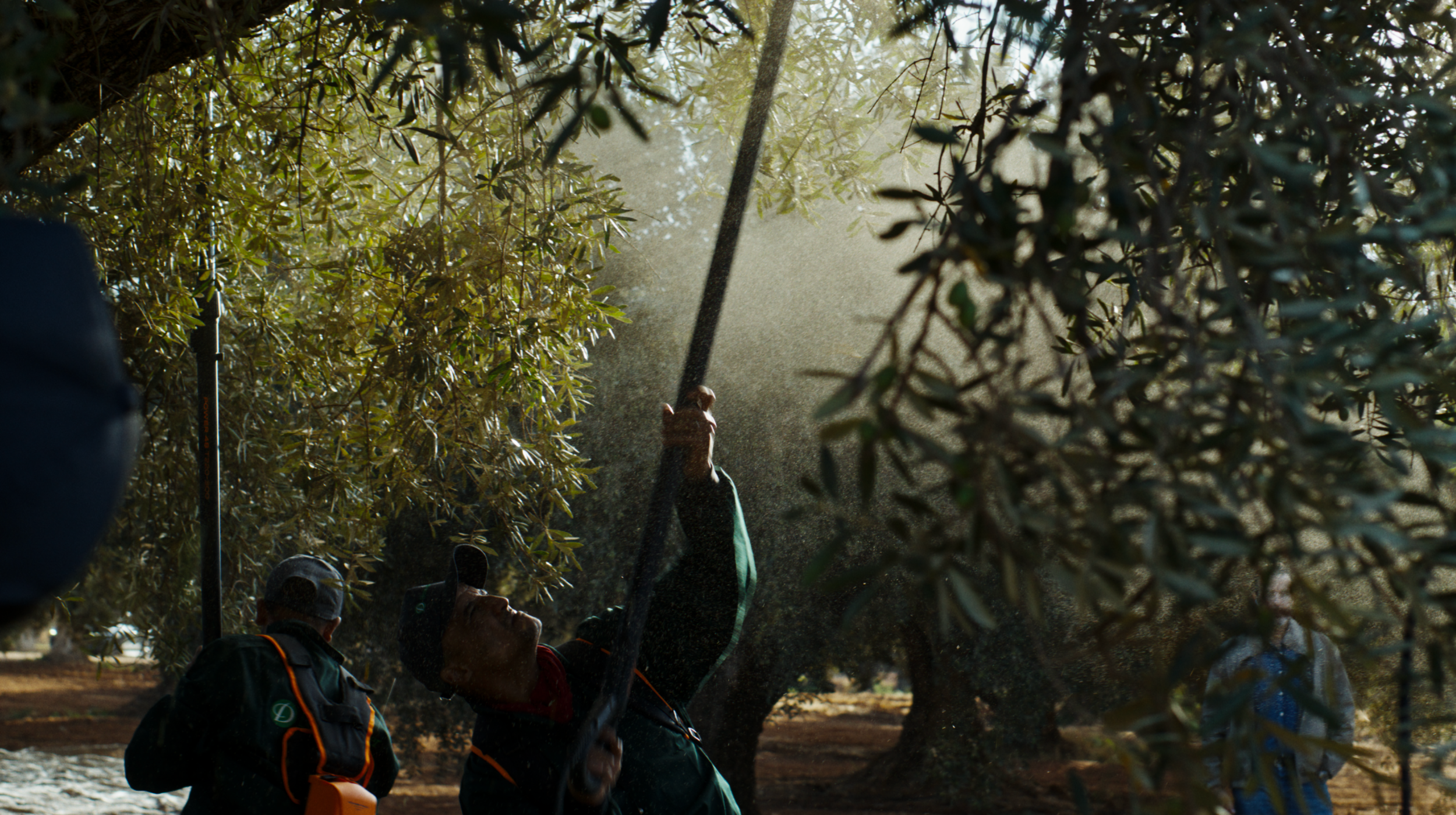 Screenshot 2026-03-25 at 14.43.52.png