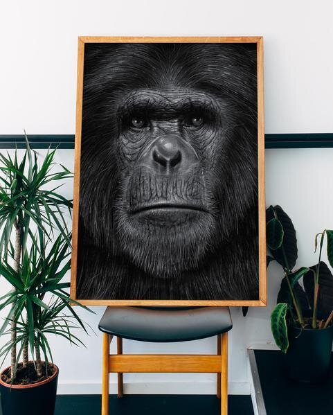 bredenbekk+ape+interi%C3%B8r.jpeg