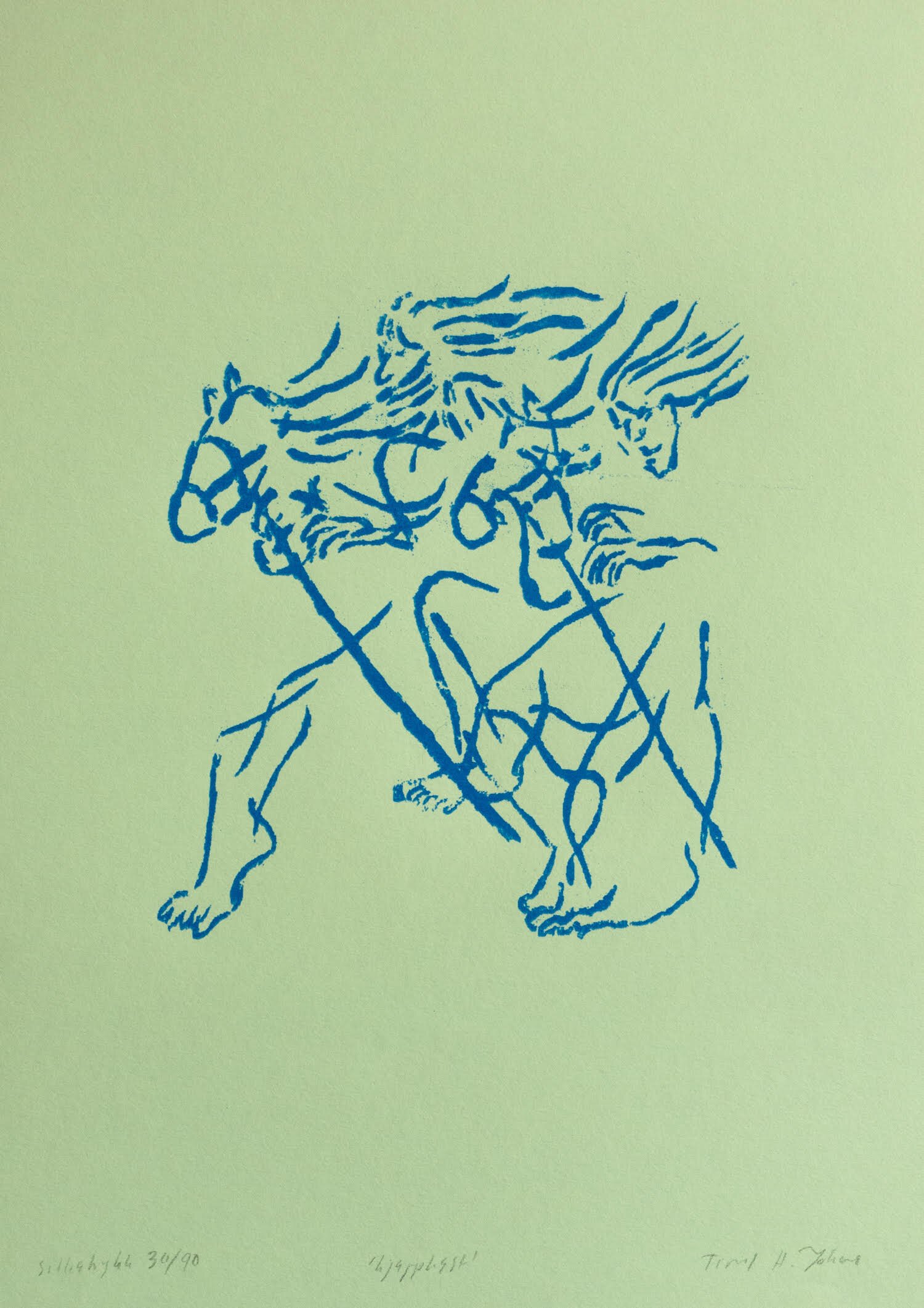 hest3.jpeg