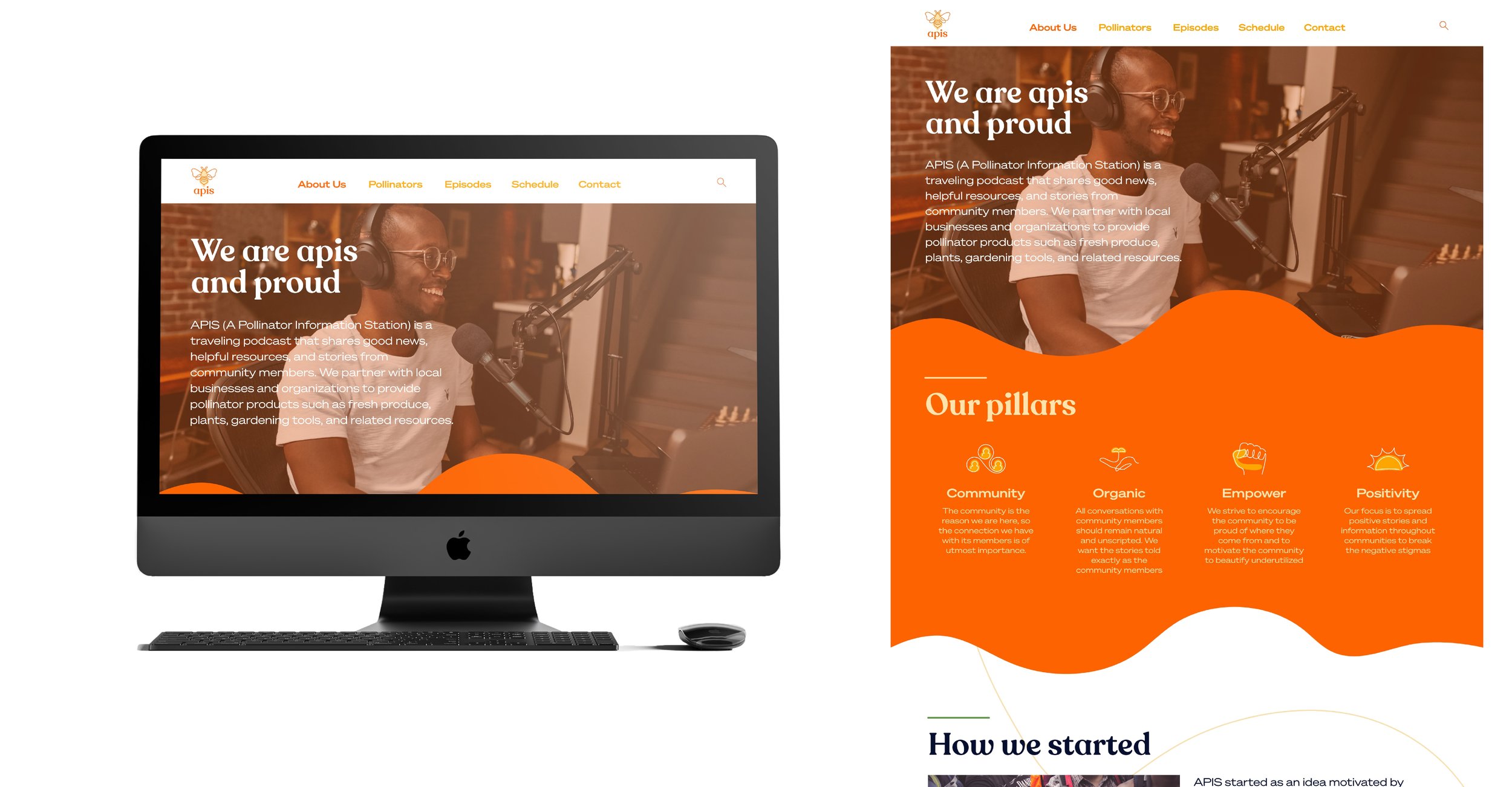 Desktop mockup showing the About Us page of the APIS website with a longer flat view on the right