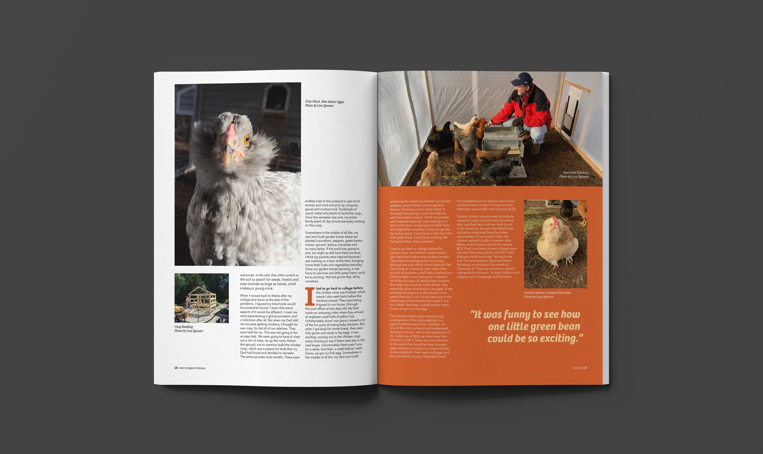 One interior spread of Wicked Publication from the Chicken & Veggies story