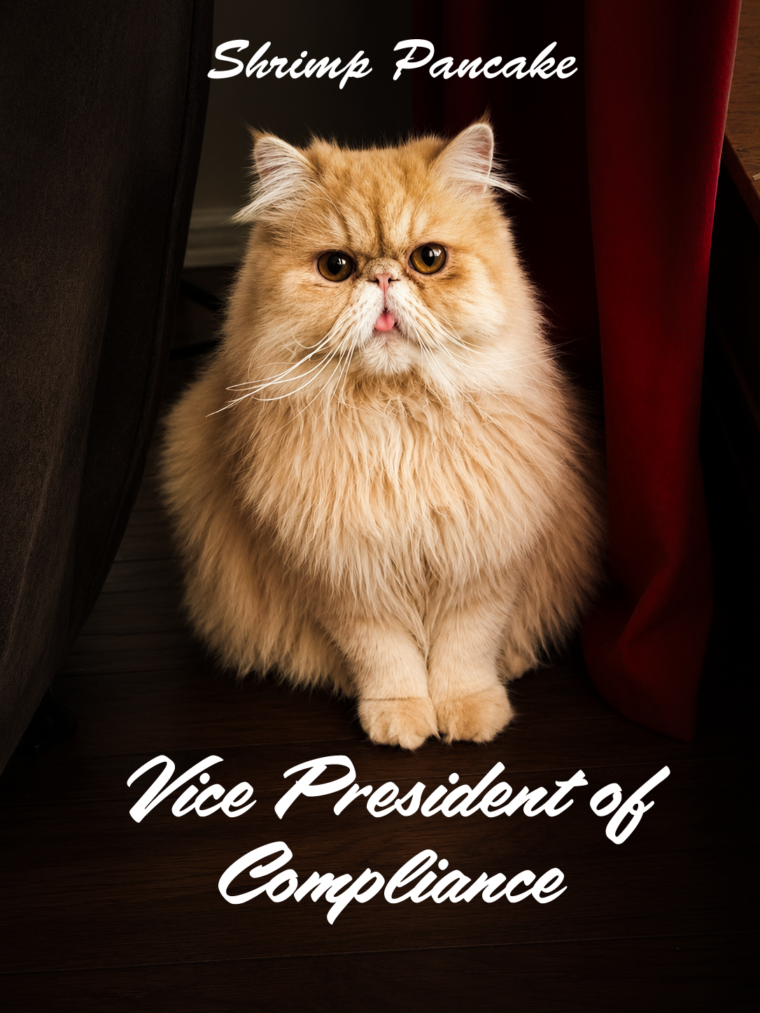 A fluffy orange Persian cat sitting between dark furniture and a red curtain, with text overlay 'Shrimp Pancake Vice President of Compliance'.