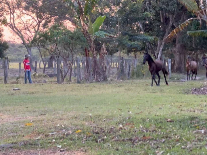 Our last day at the reserve was quite memorable!
We started the morning with an &ldquo;adults only&rdquo; ride to hunt a Capybara the Llanero way. Charlie tapped into his Ohio farm childhood and assisted thru the whole process. 
I&rsquo;ve never witn