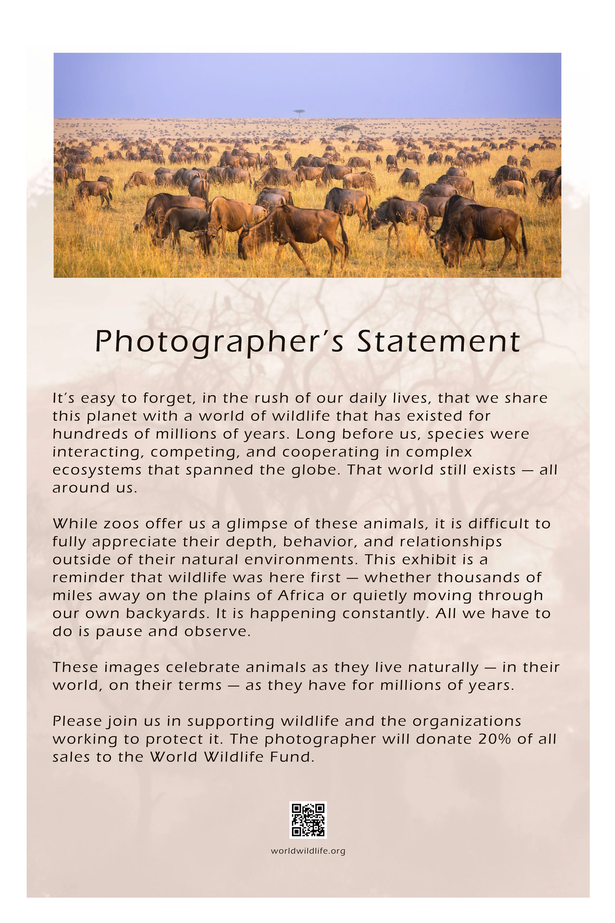 Photographer Statement sml.jpg