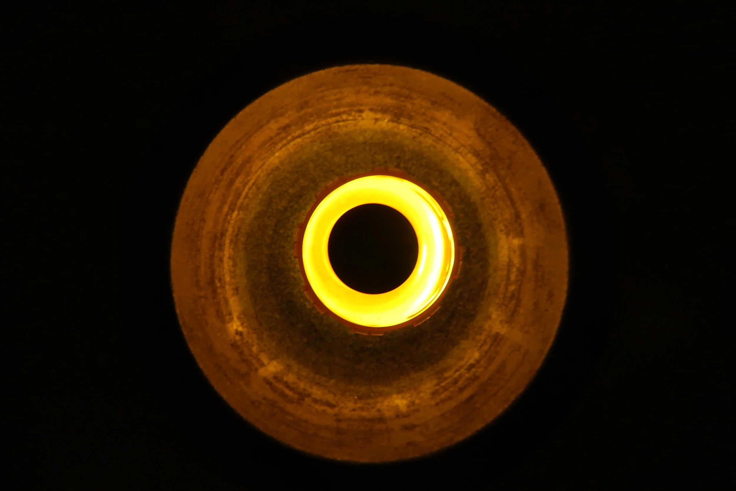 PV.8.21.Ciro2.lighteye.jpg