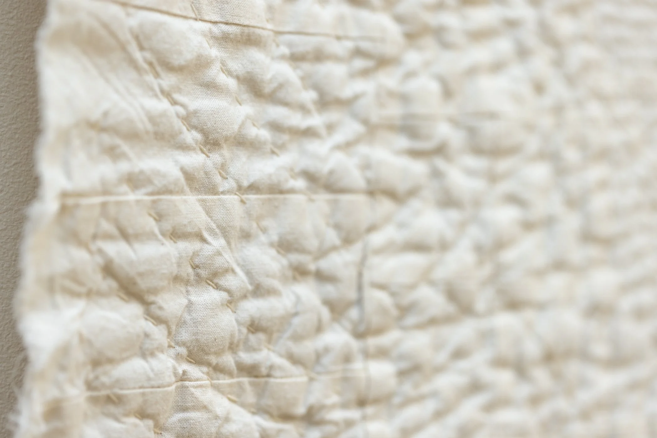 2026_10_04_MNR_Brooklyn_Quiltors_Guild-028.jpg
