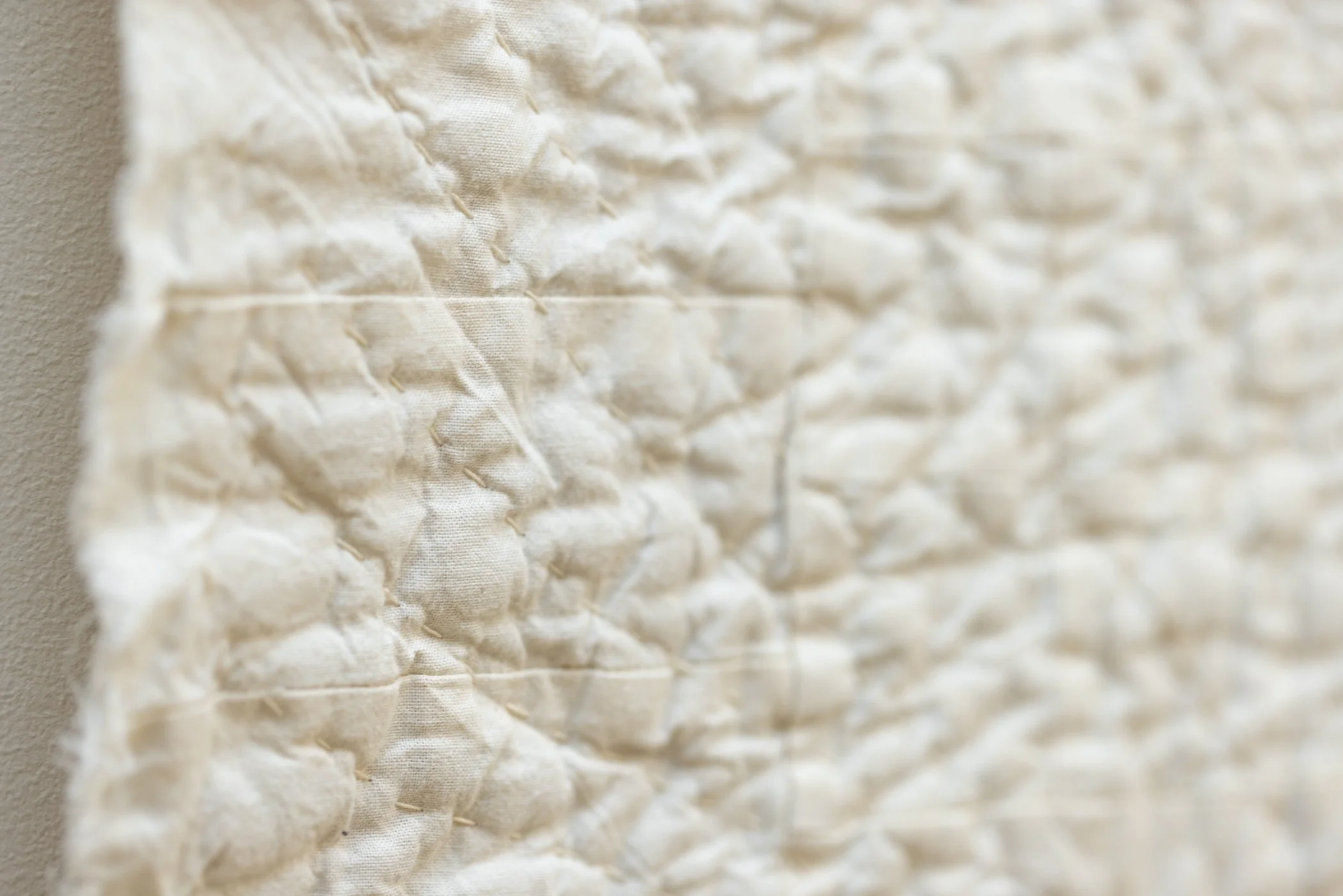 2026_10_04_MNR_Brooklyn_Quiltors_Guild-029.jpg