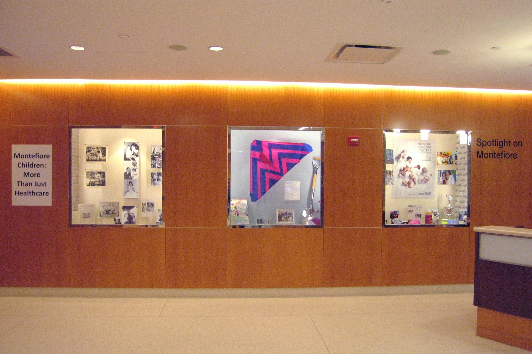 Peds overall exhibit.jpg