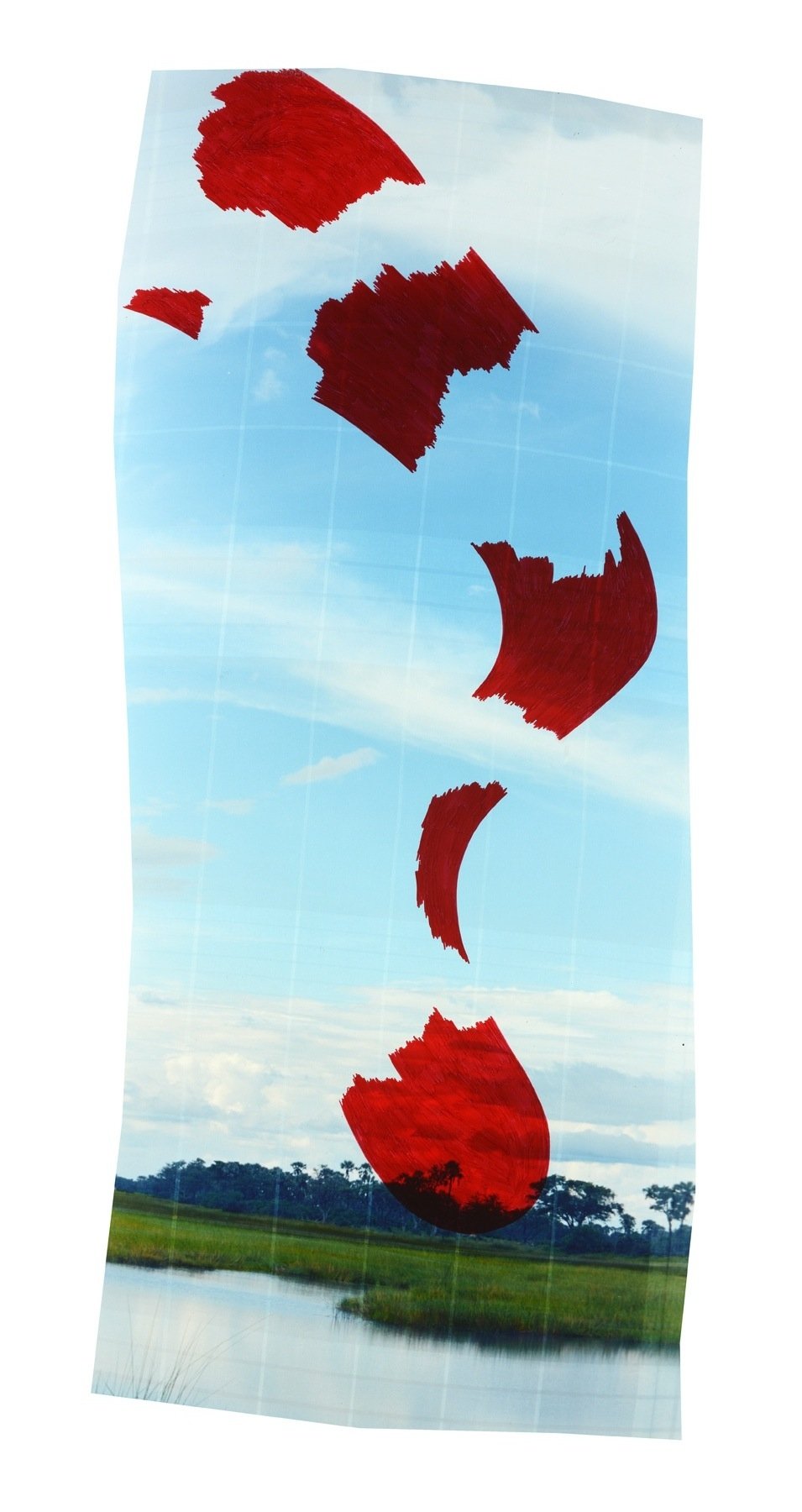 Chloe Sells, Condor Wind, Archival pigment print