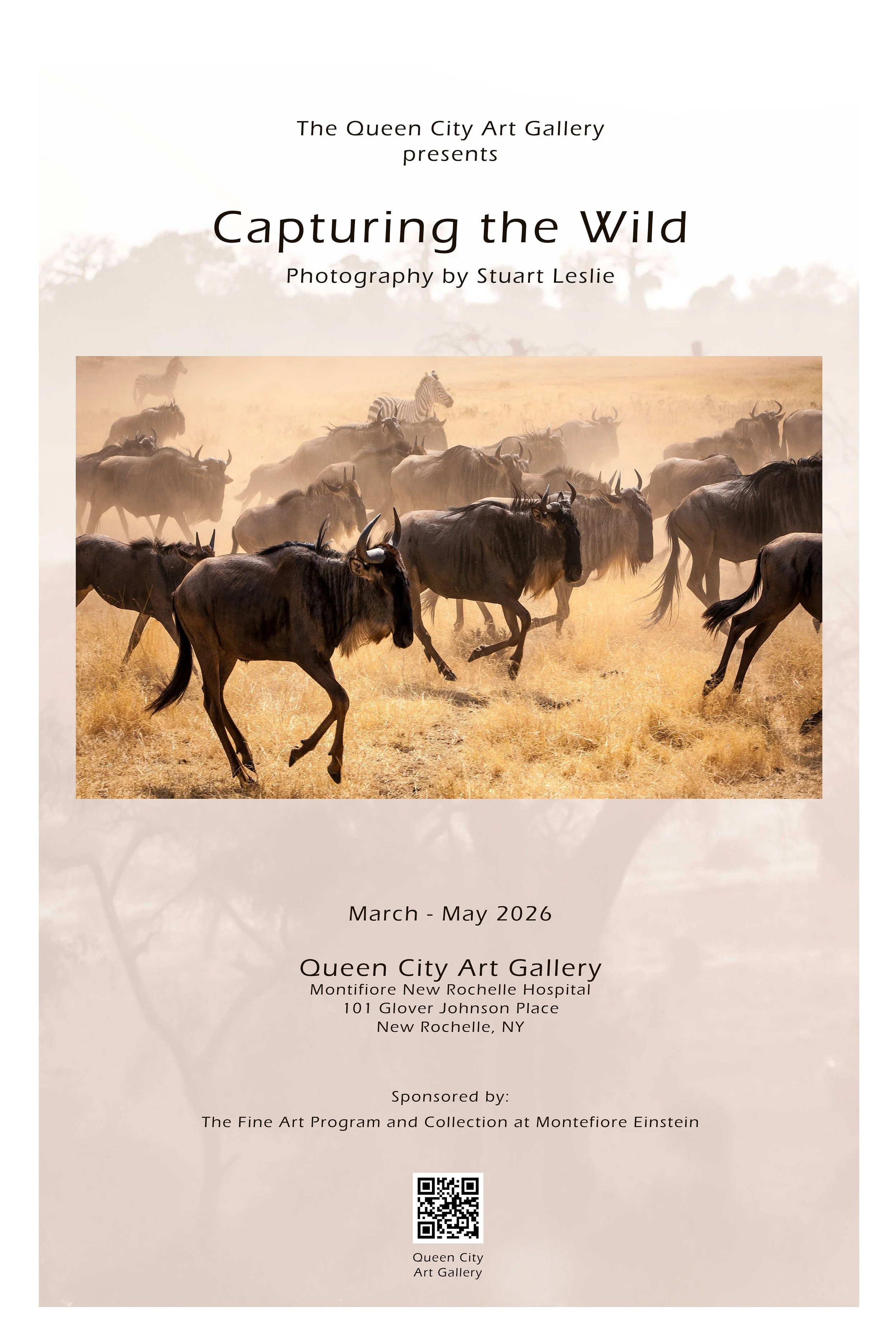 Stuart Leslie, Photographer