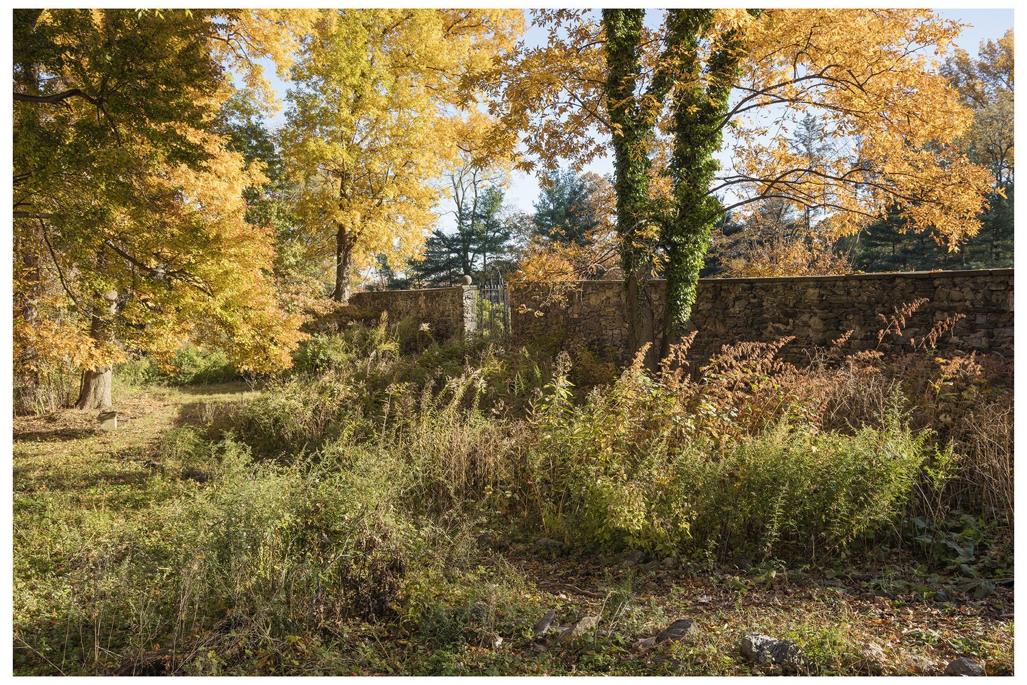 Autumn+Wall,+Evening+Light,+Pell+Mansion.jpg
