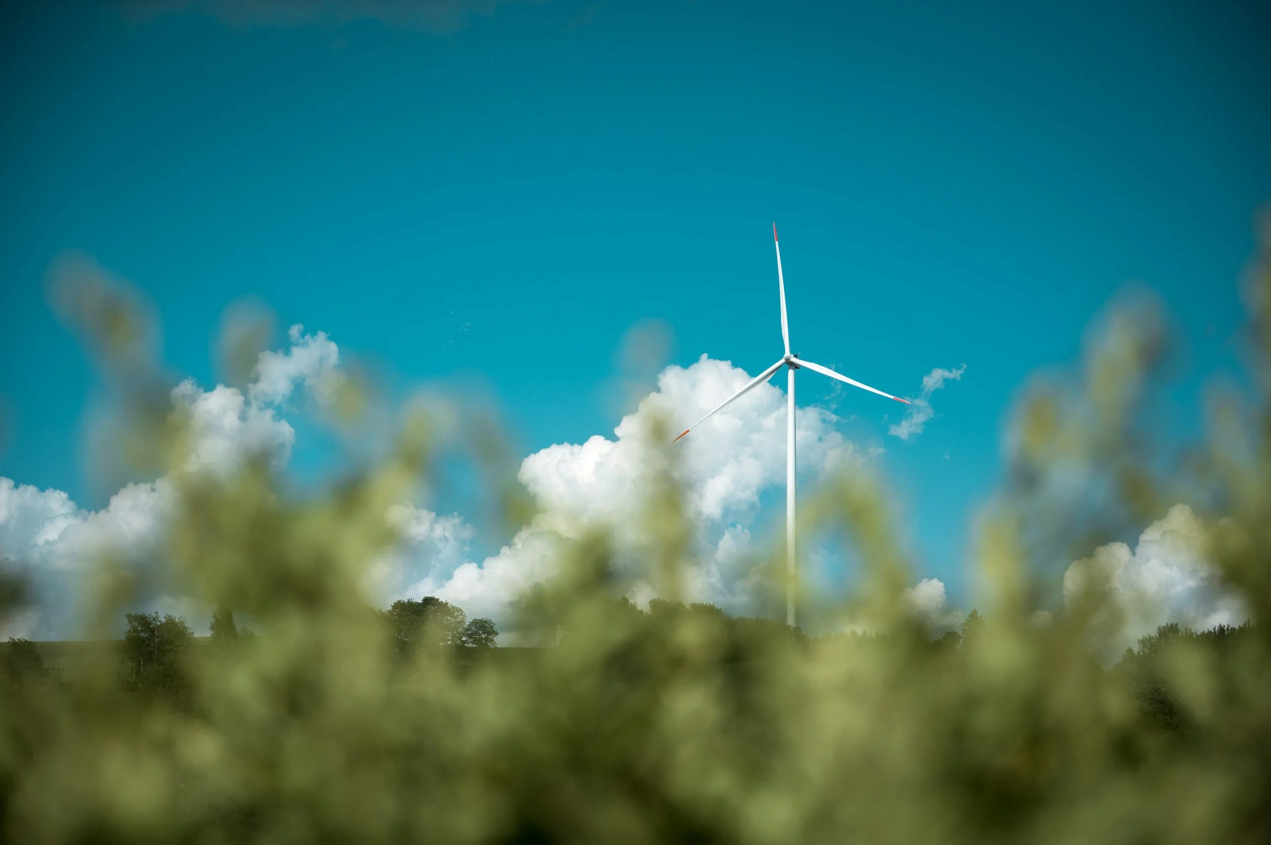 Wind turbine on a hill with a bright blue sky and white clouds, foreground featuring blurred green foliage.