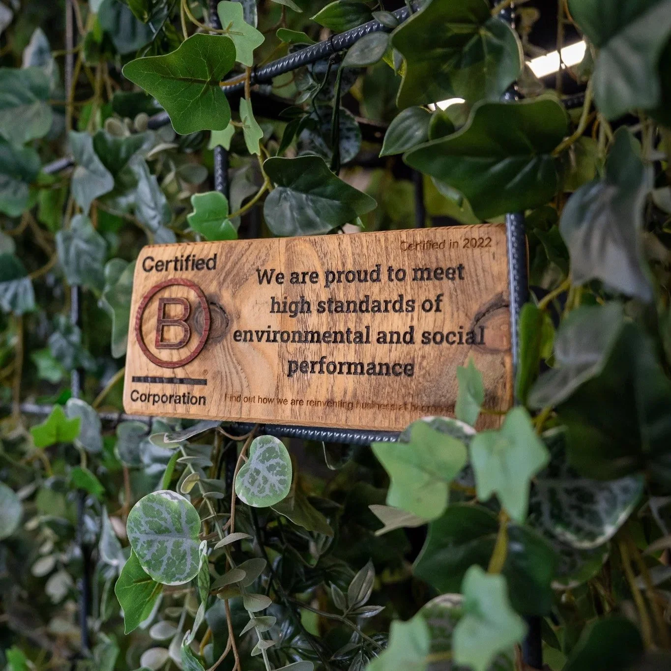 Inside Sinewave’s B Corp Recertification – Leading the Industry to a Better Future