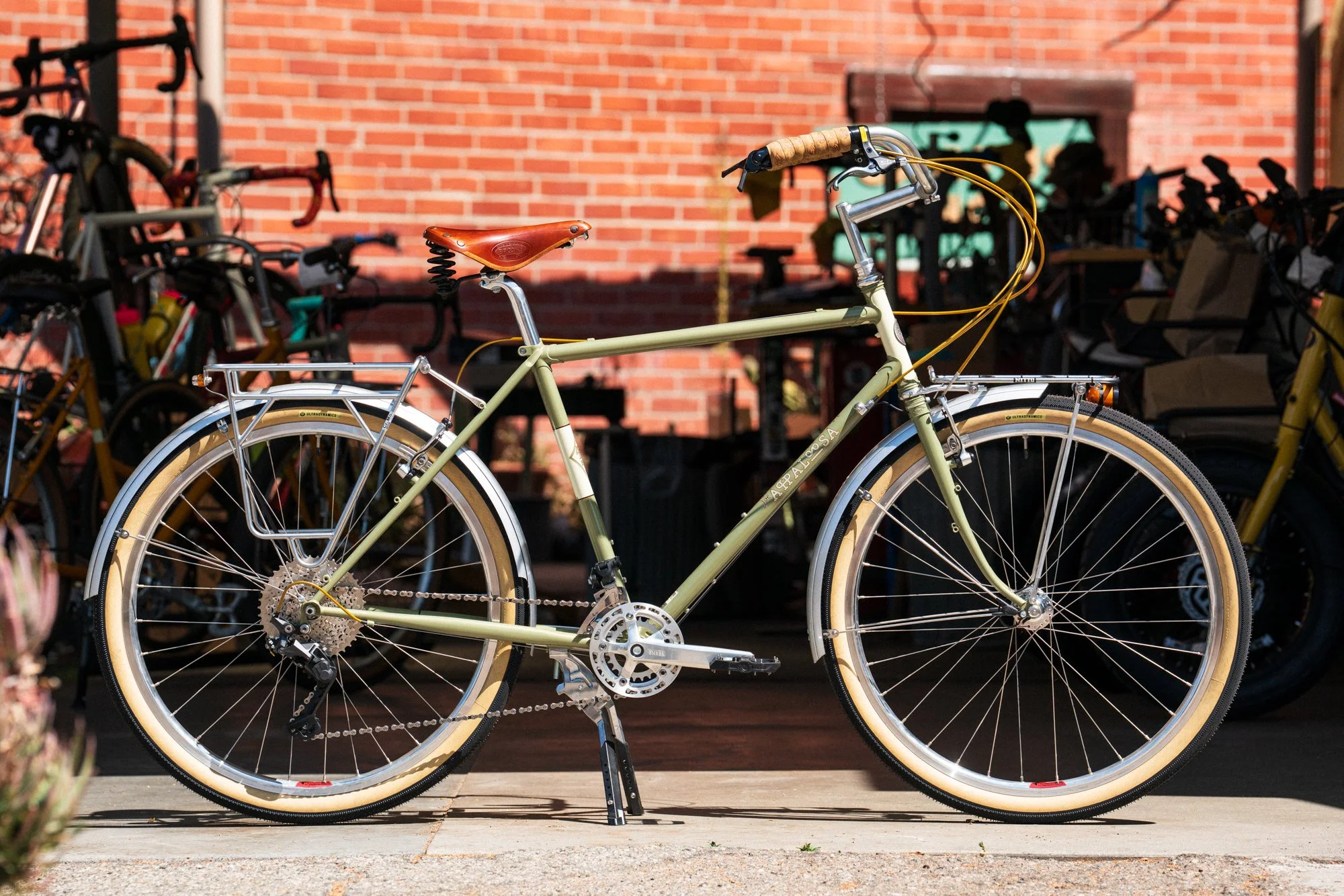 Sally’s Joe Appaloosa