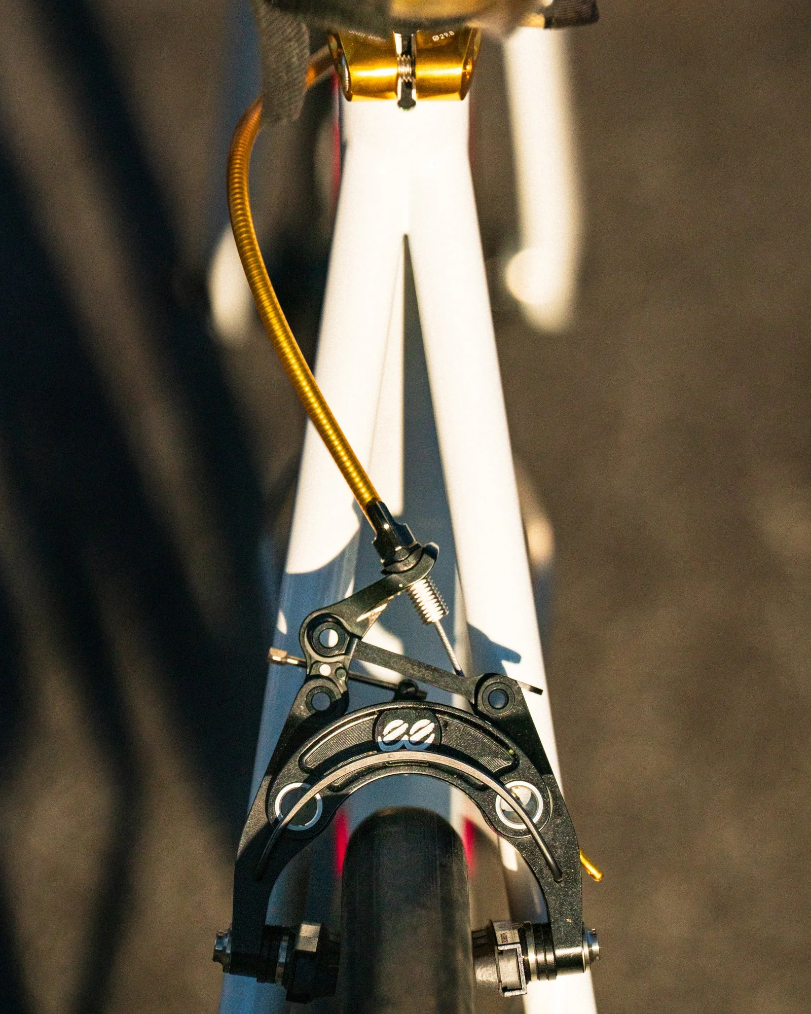 jeff hammer beach club-8.jpg