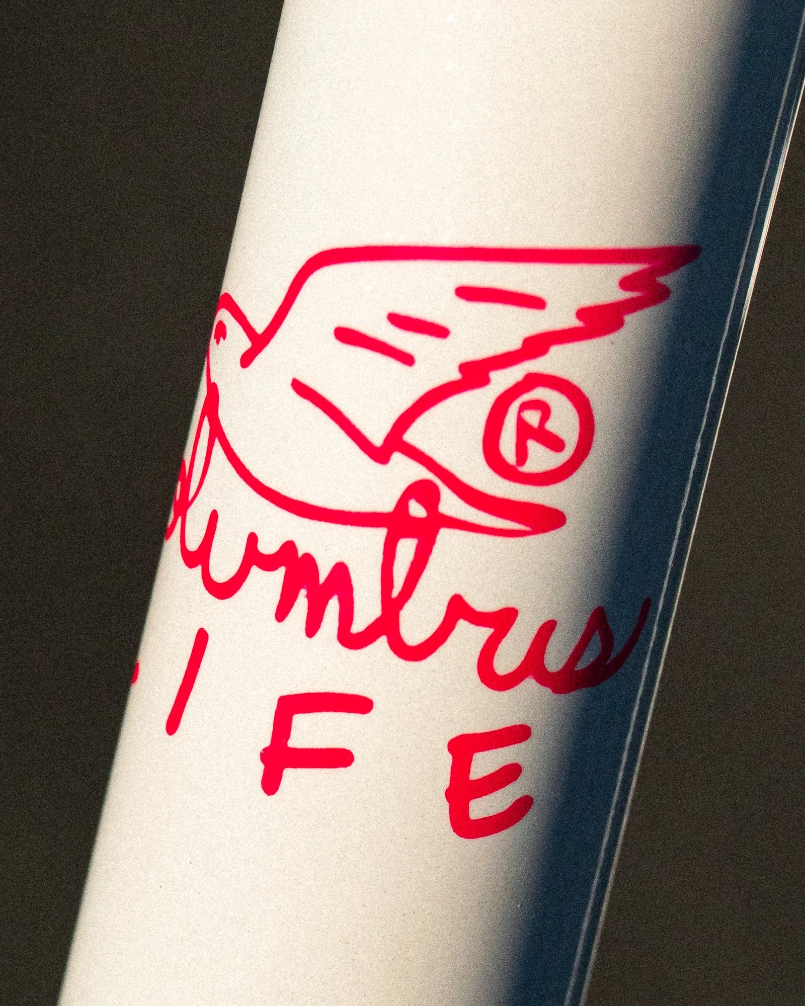 jeff hammer beach club-6.jpg