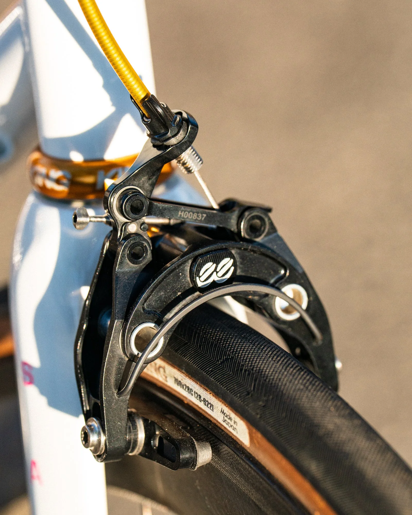 jeff hammer beach club-3.jpg