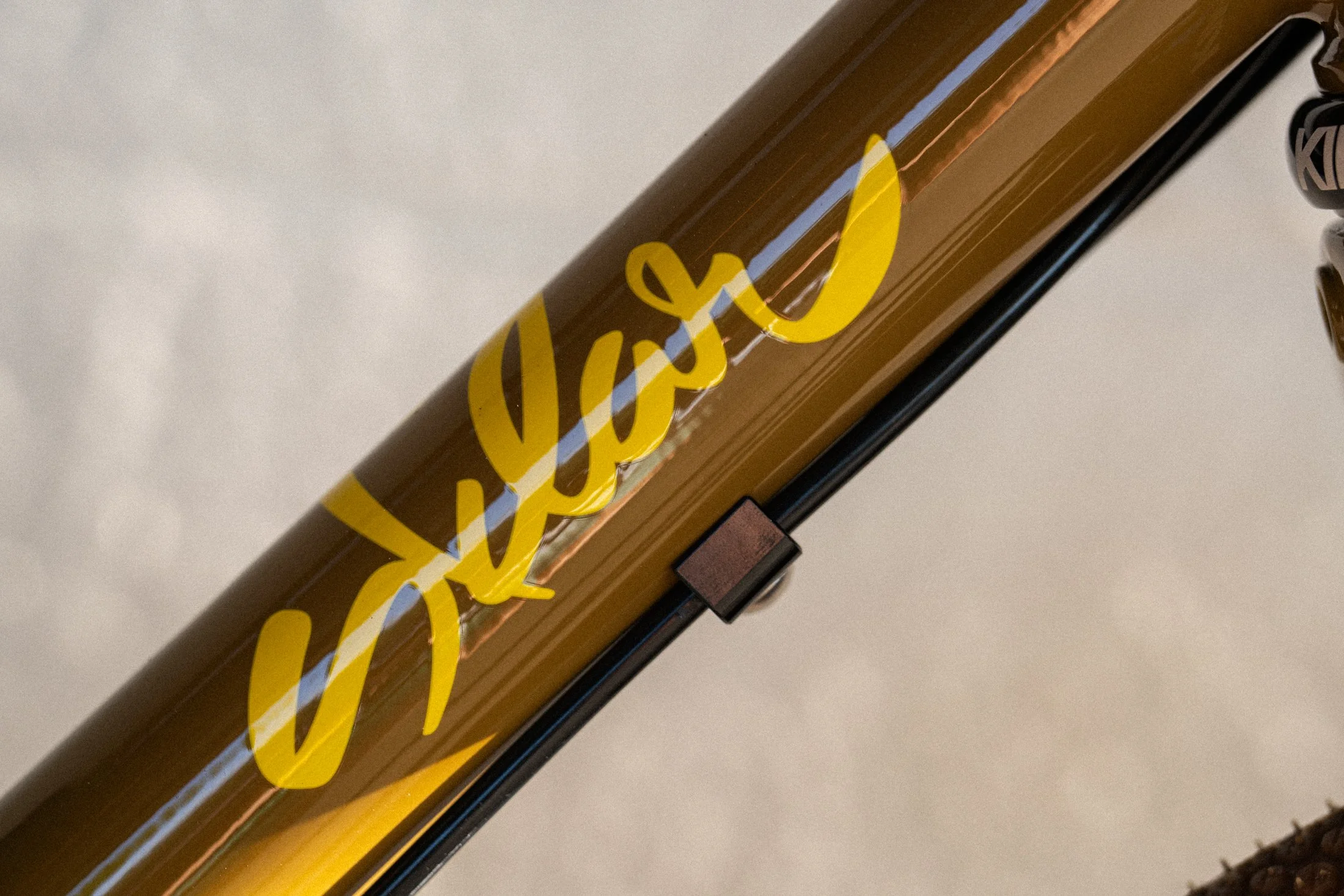 Golden Brown Sklar - Colton_-2.jpg