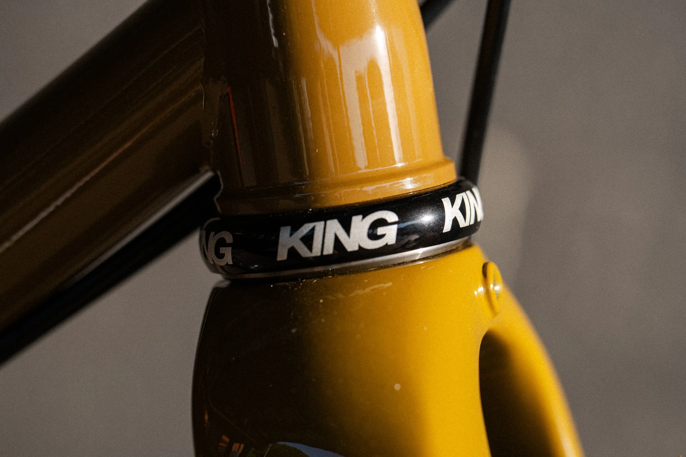 Golden Brown Sklar - Colton_-4.jpg