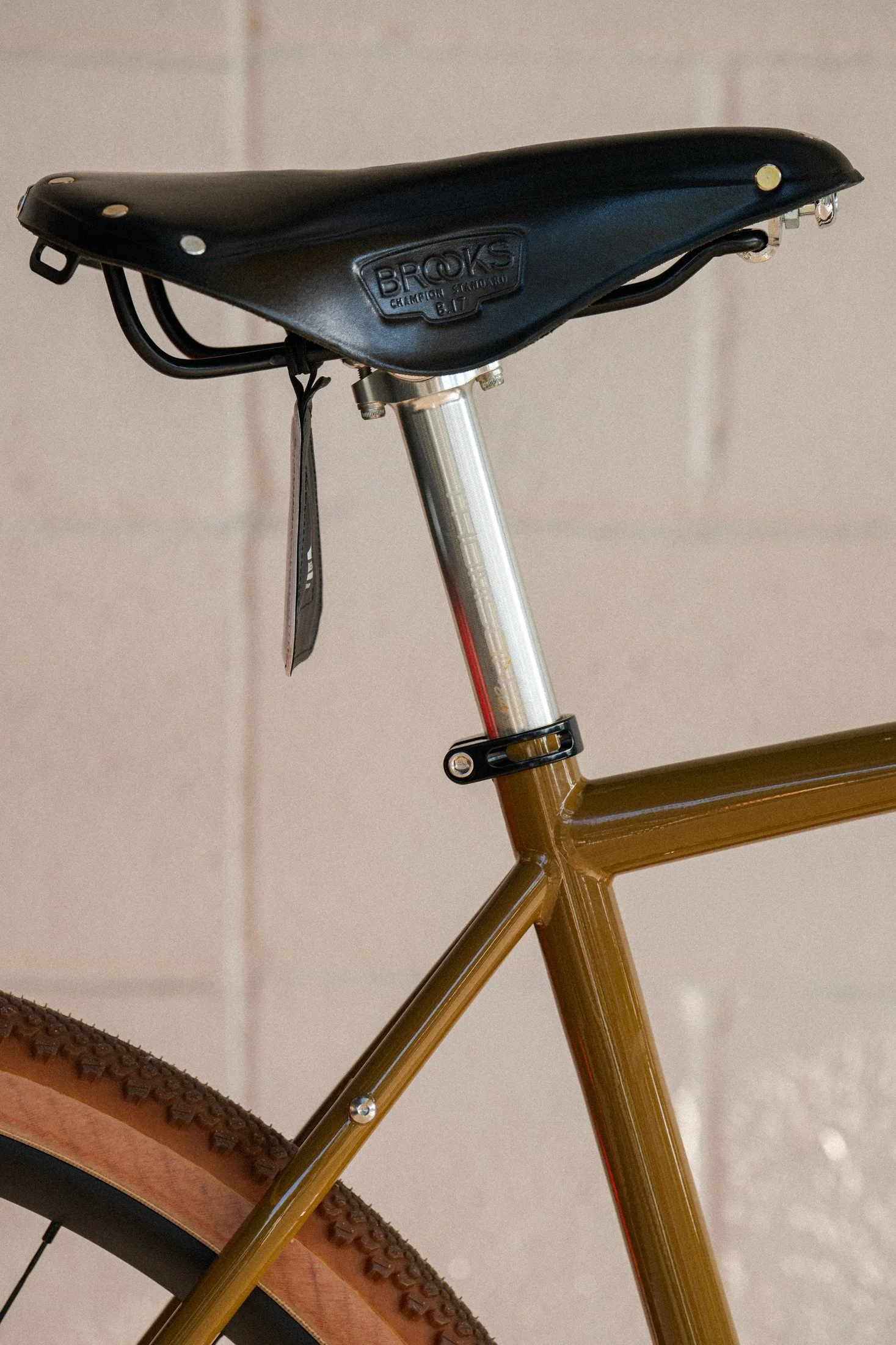 Golden Brown Sklar - Colton_-7.jpg