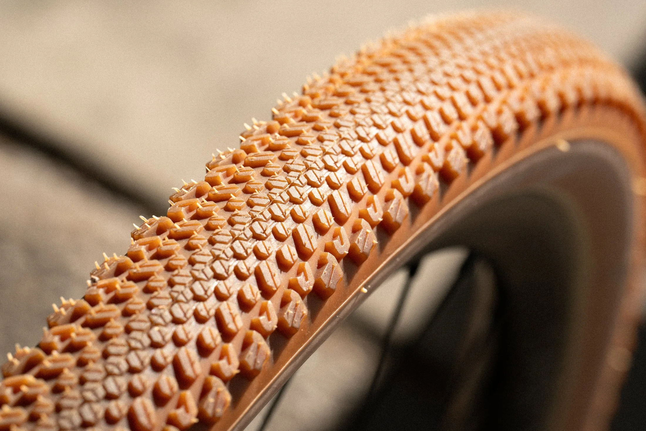 Golden Brown Sklar - Colton_-18.jpg