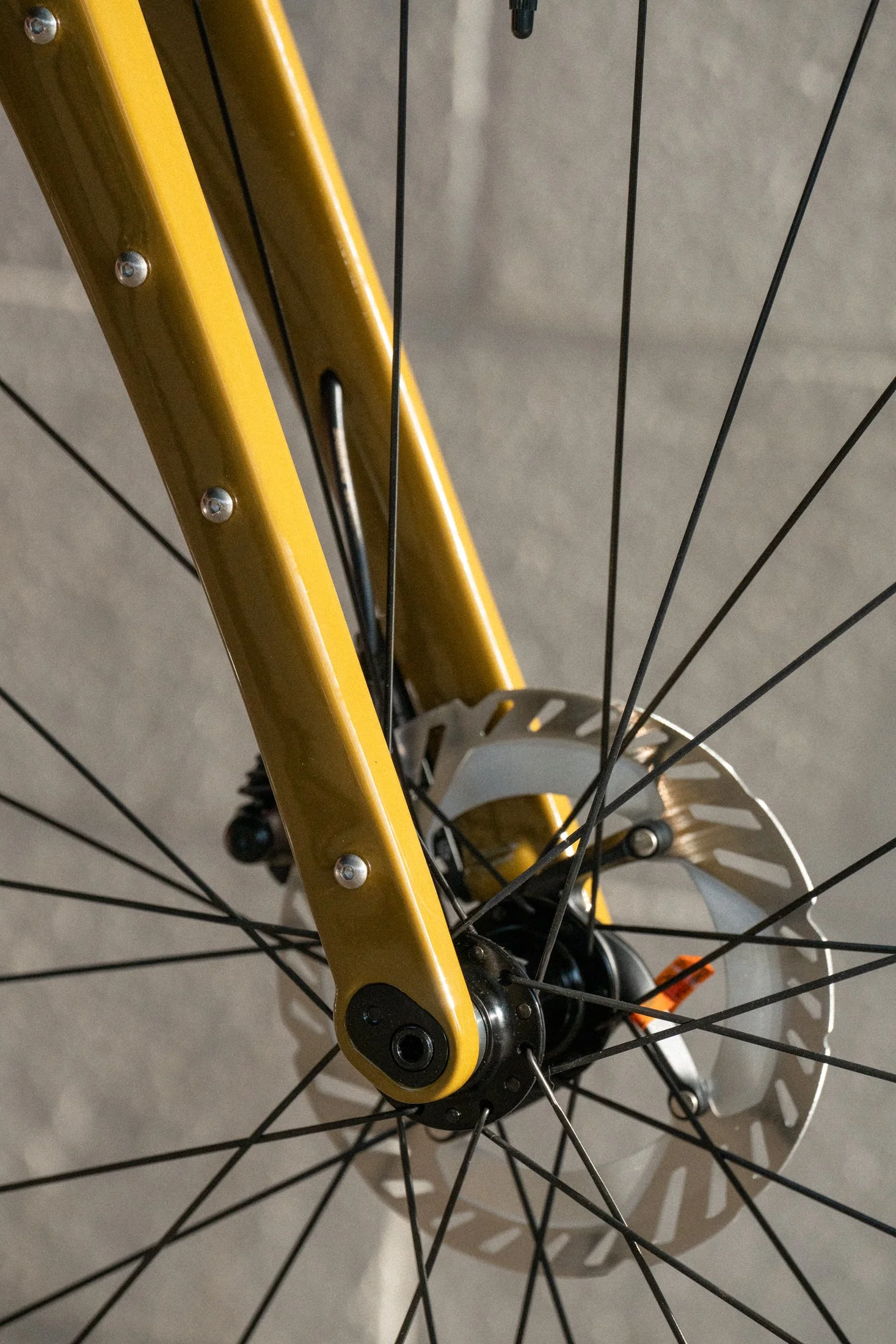 Golden Brown Sklar - Colton_-20.jpg