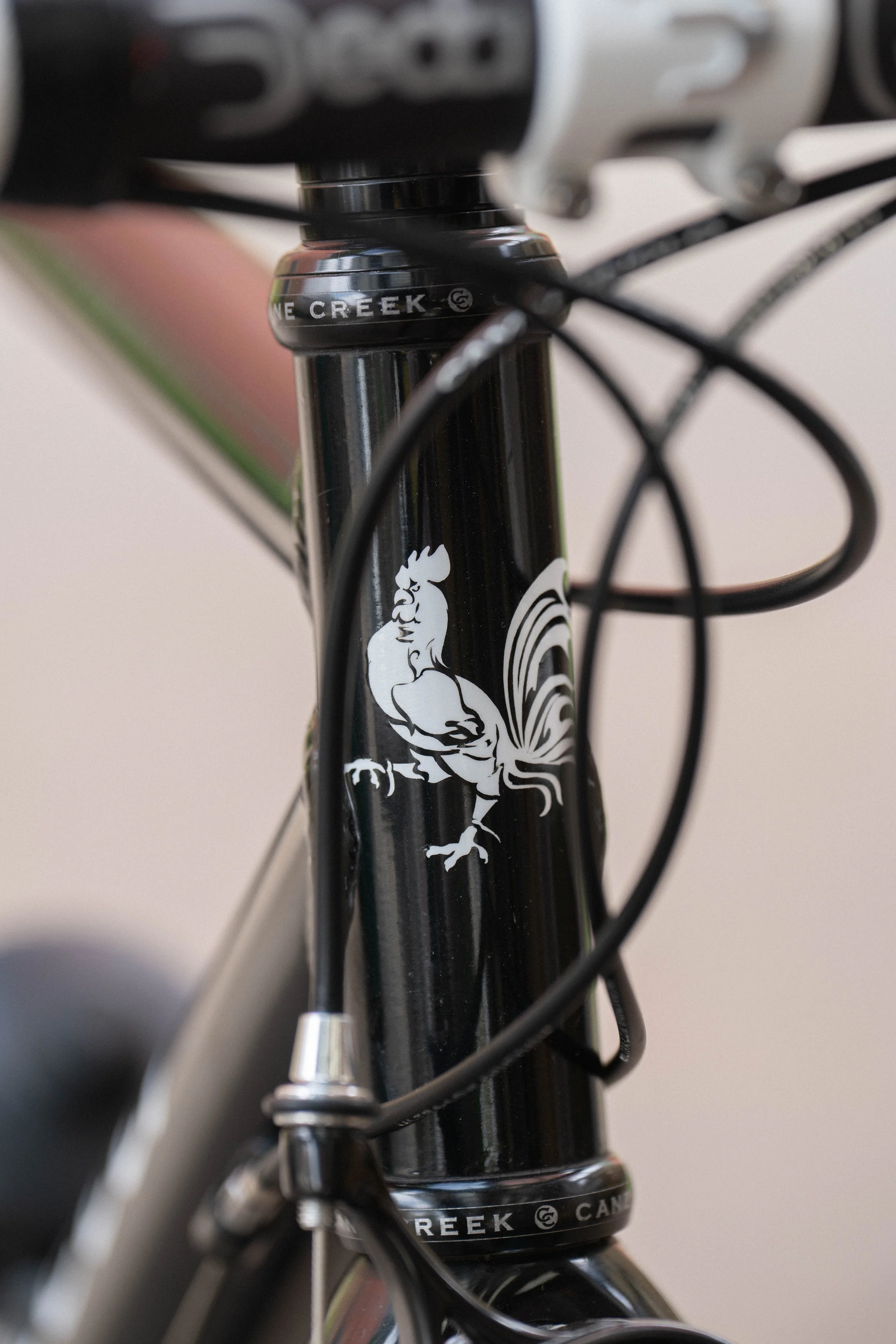 Gaulzetti-10.jpg