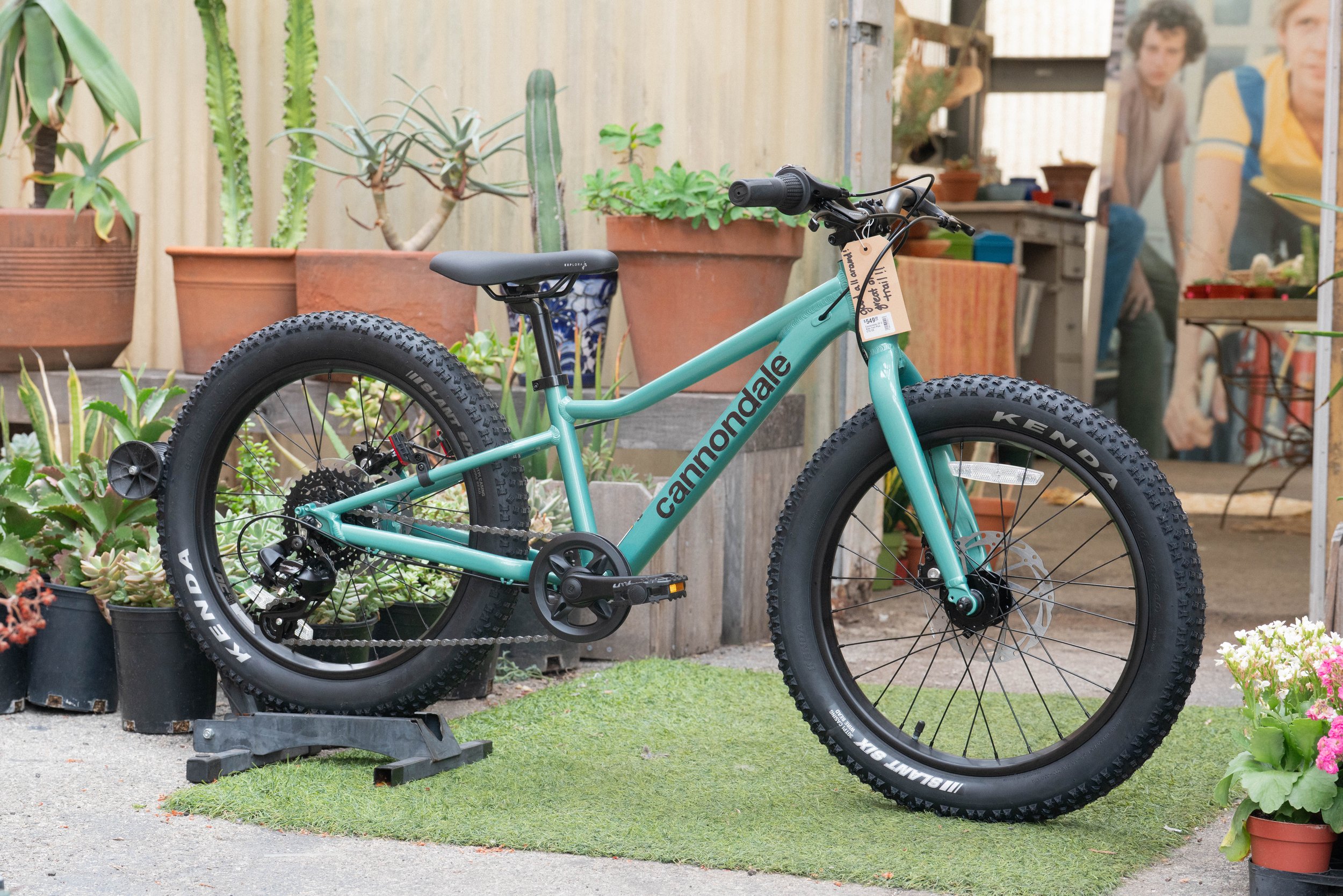 Cannondale Trail 20 Plus