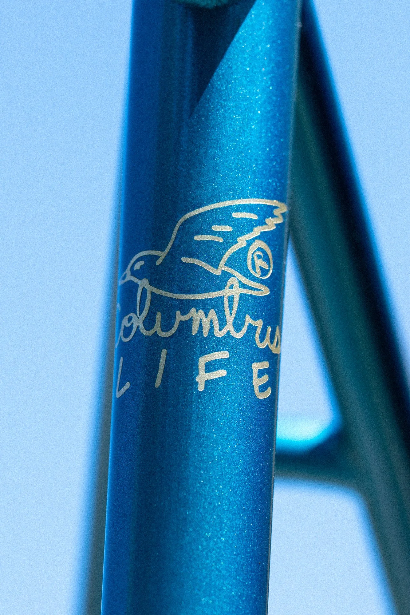 webshop - sellout blue gold-4.jpg