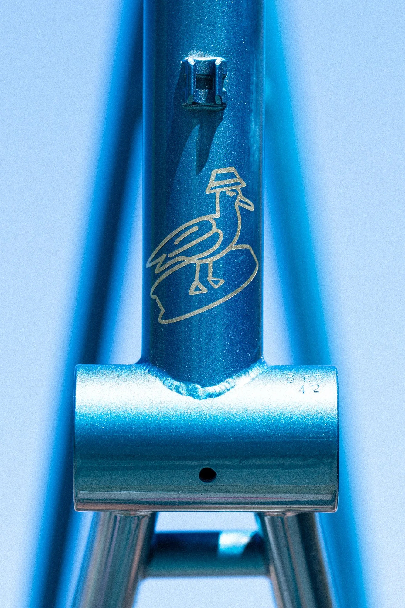 webshop - sellout blue gold-3.jpg