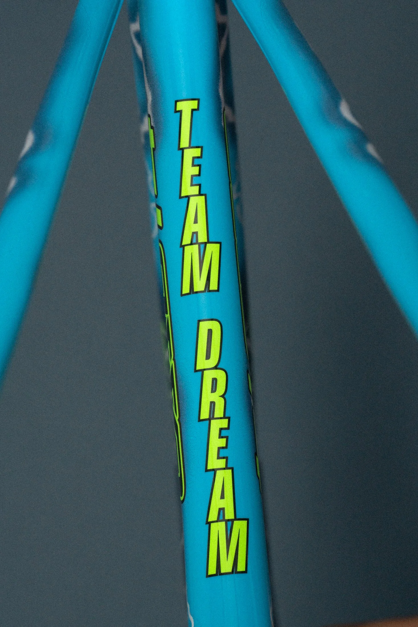 team dream x cannondale raffle bike-6 (1).jpg
