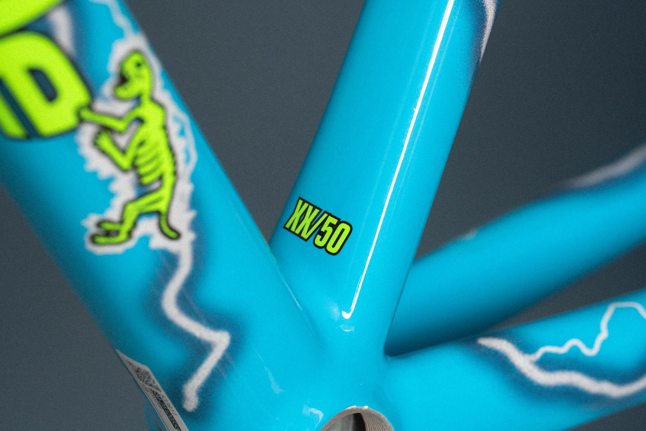 team dream x cannondale raffle bike-5 (1).jpg