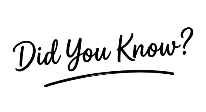 Big Dog Groomer Ottawa | Bitches Walking Dogs