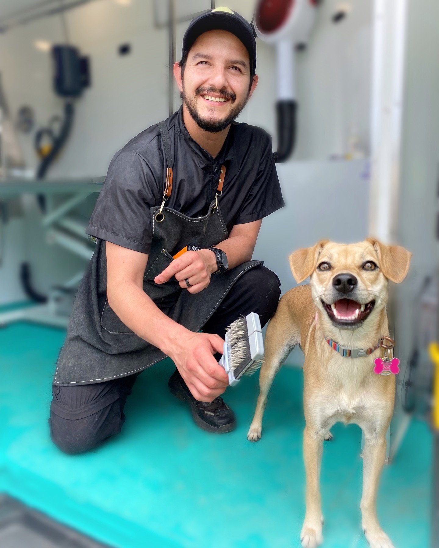 🫧 With our talented and detail-oriented groomer Juan, your pets are in professional and caring hands.

✨ With a rich background not only in grooming but also in psychology and veterinary assistance, he ensures a safe and stress-free experience for y