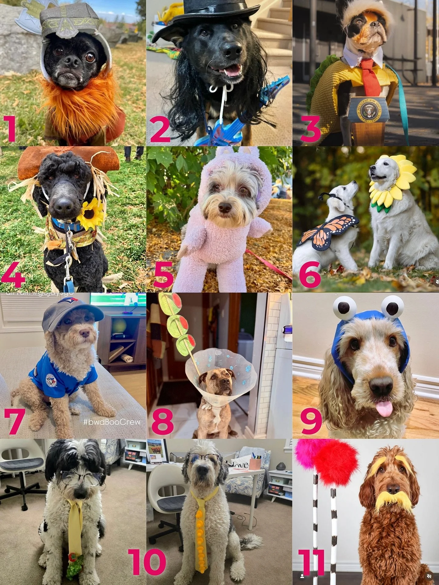 Hey Witches! 🎃

Thank you to everyone who joined this year&rsquo;s bwd BOO Crew! It&rsquo;s time to choose the Winner of our 2025 Annual bwd Halloween Costume Contest and decide who will steal our faBOOlous Gift Basket this year!

Will it be:
1️⃣ Gi