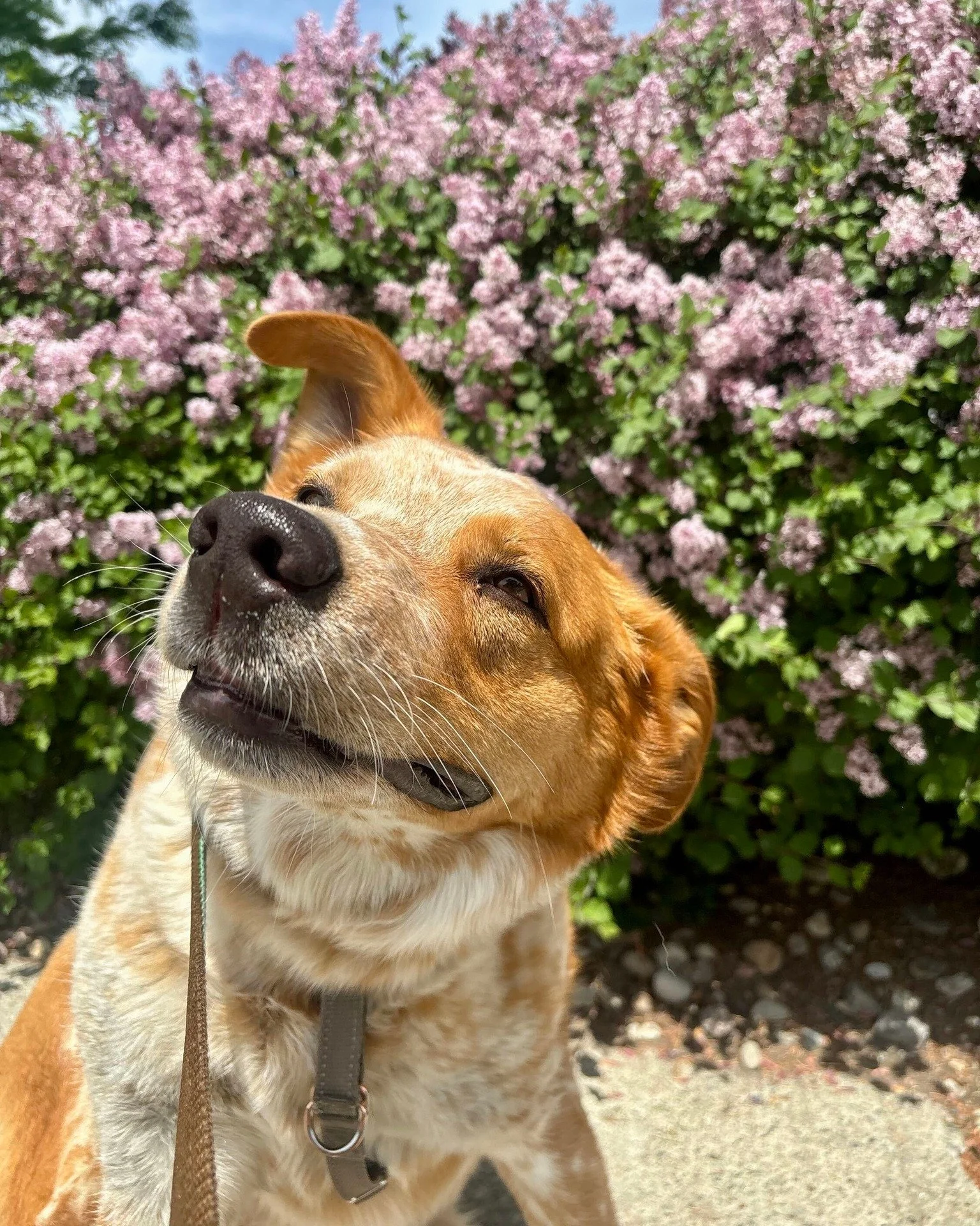 "Make sure you get my good side" - River probably