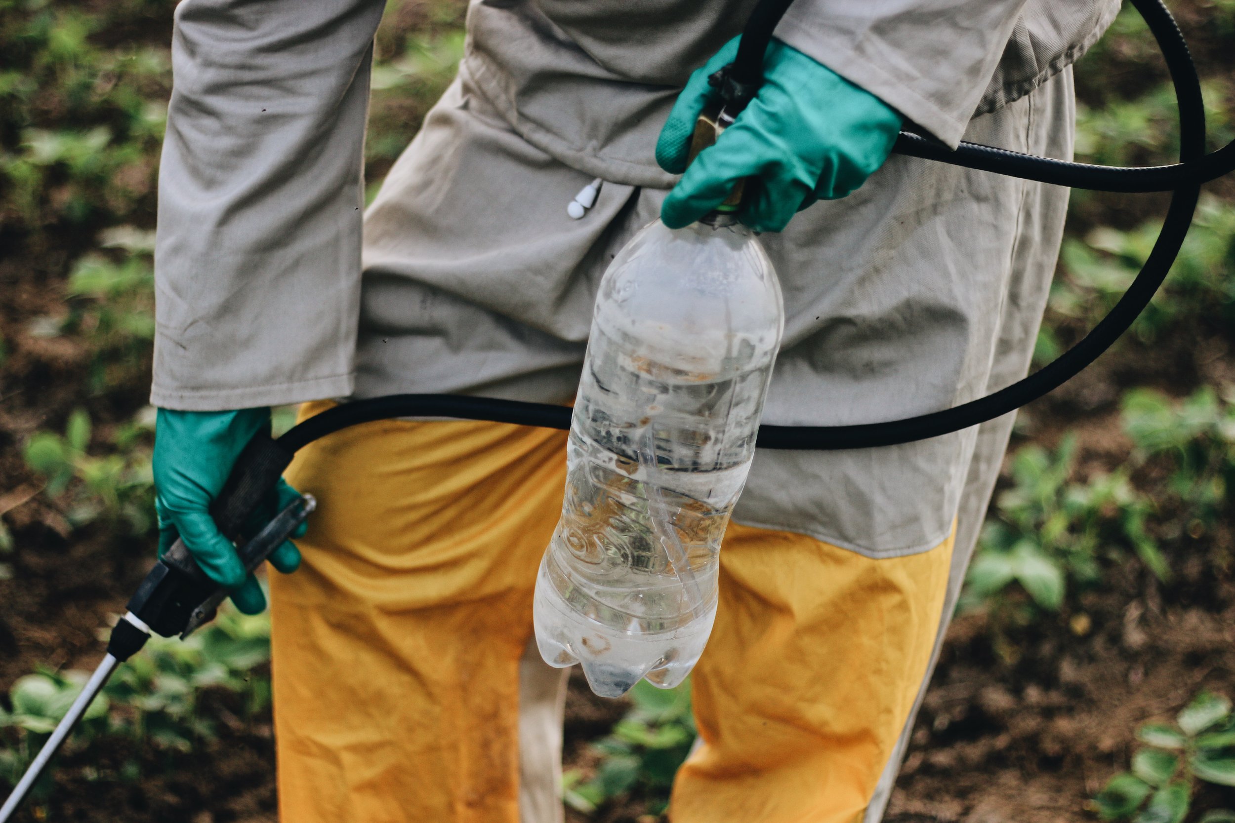 Processed with VSCO with a6 preset-5472x3648-020715.jpg