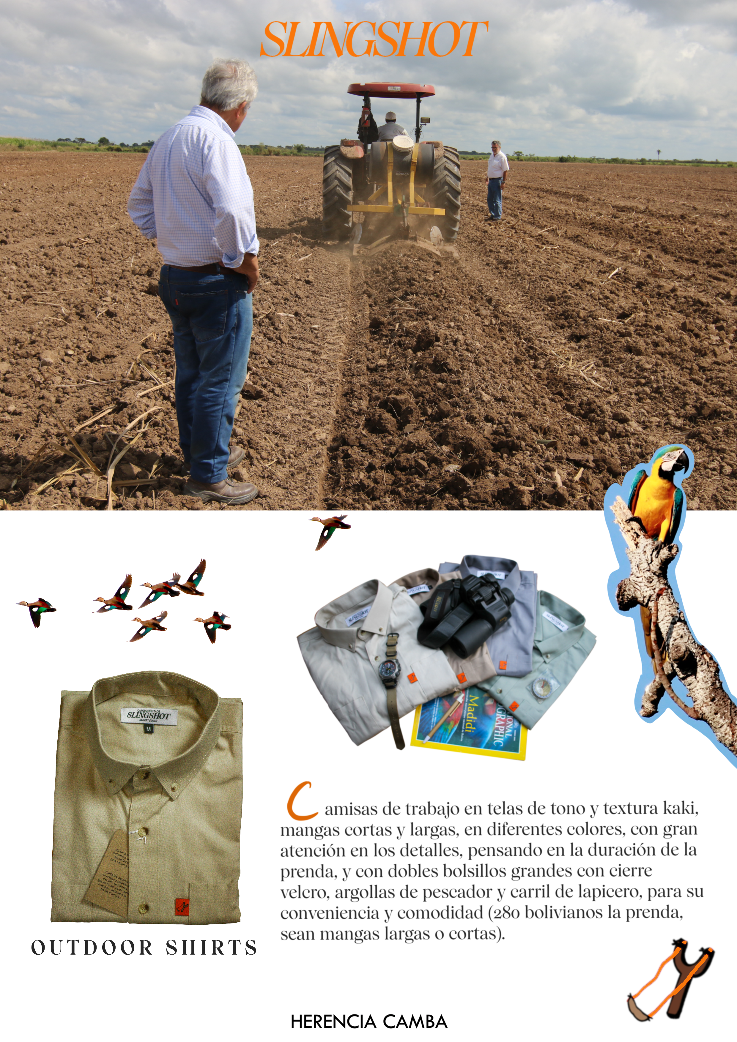 Illustration_sans_titre 2.PNG