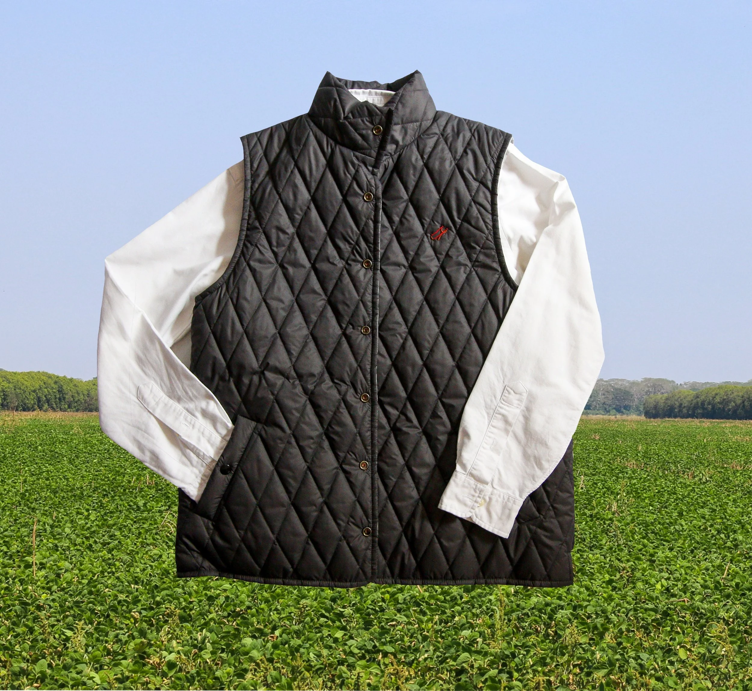 Ilustración_sin_título 12.JPG