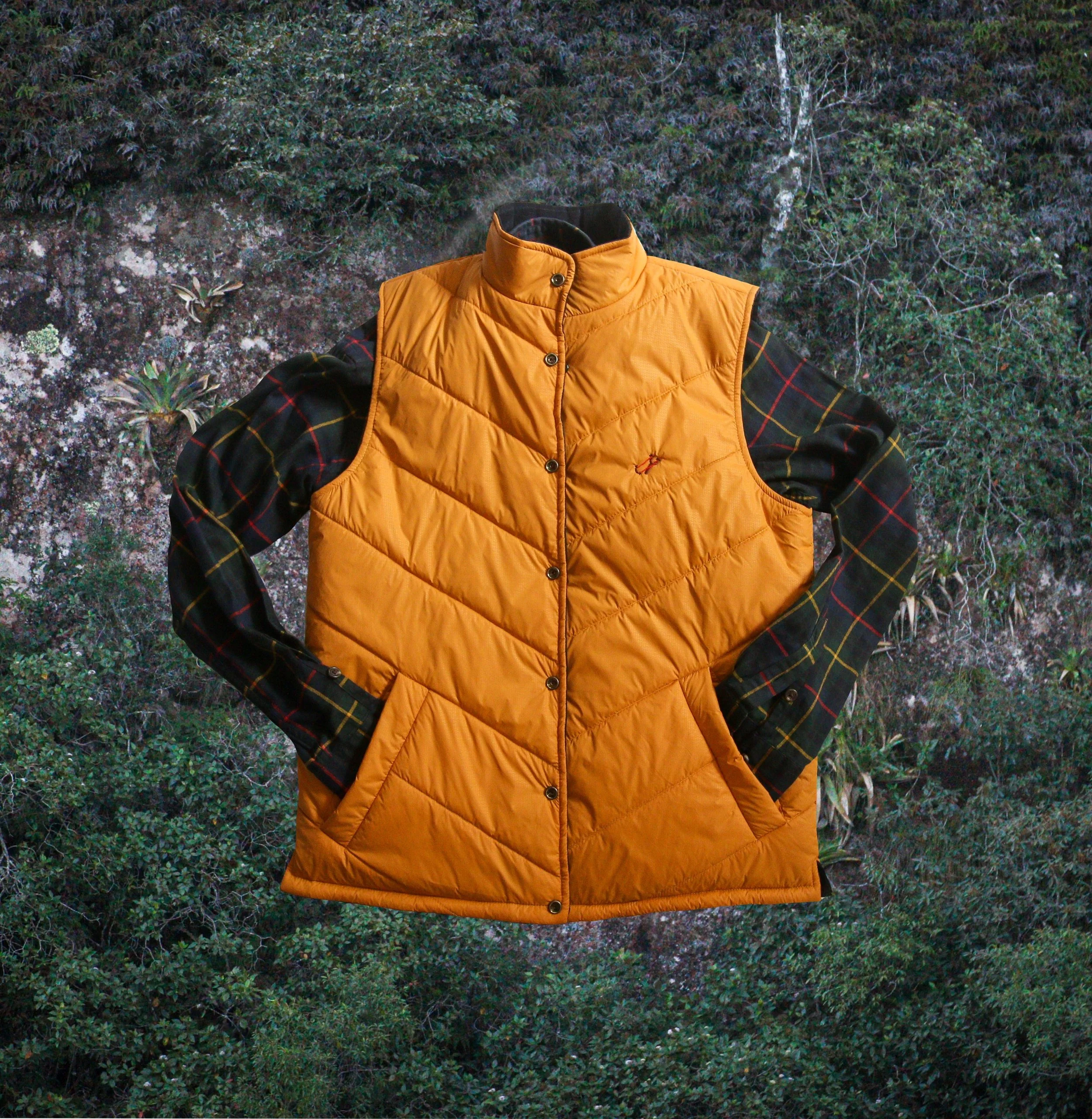 Ilustración_sin_título 13.JPG