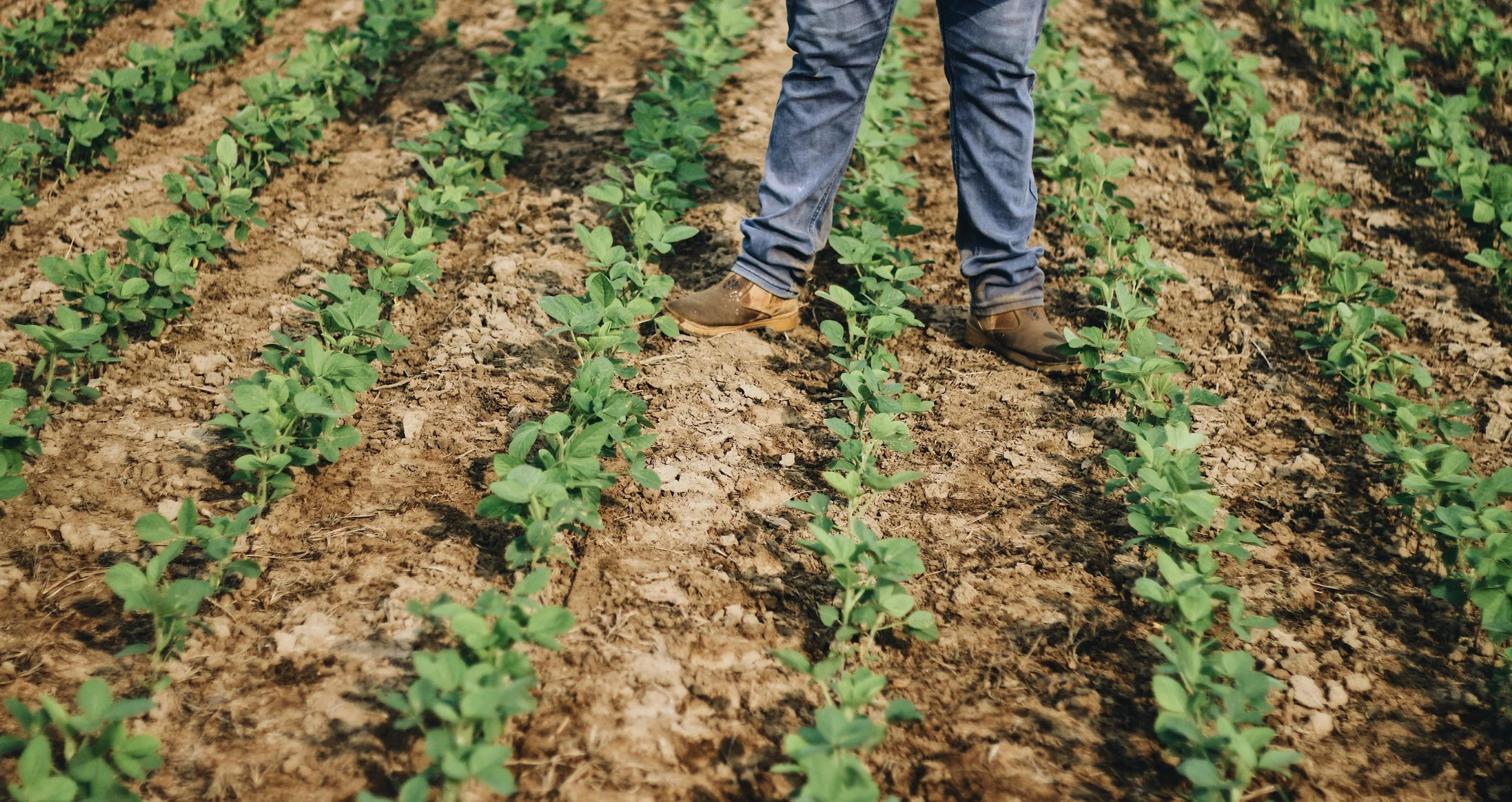 Processed with VSCO with a6 preset-5457x2895-020684.jpg