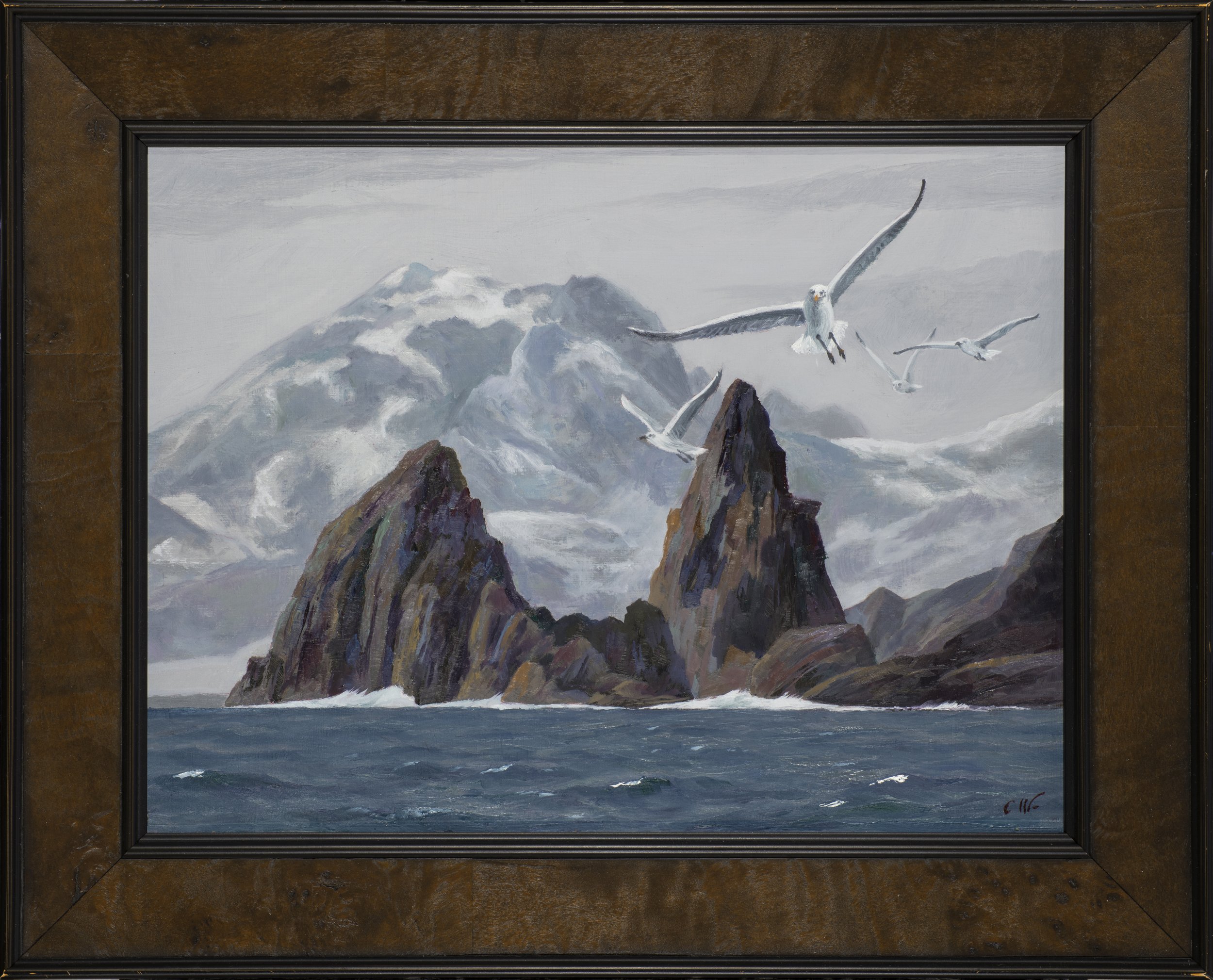 Cape Horn