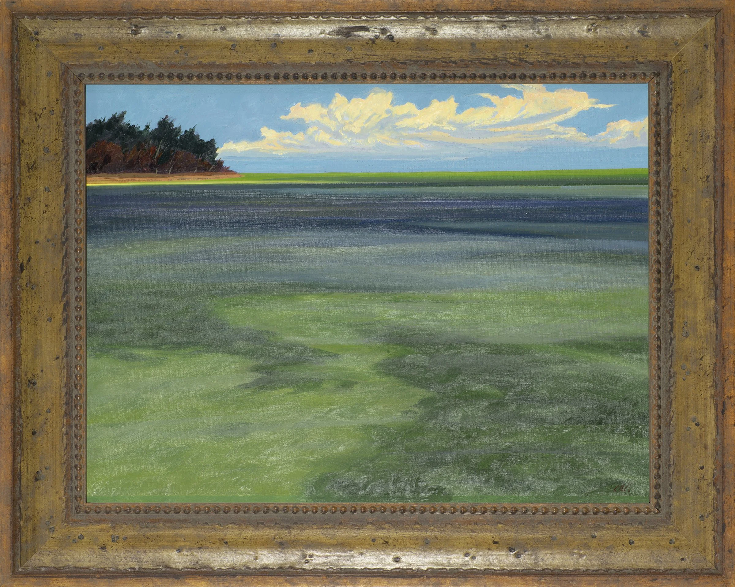 The Shallows-LR.jpg