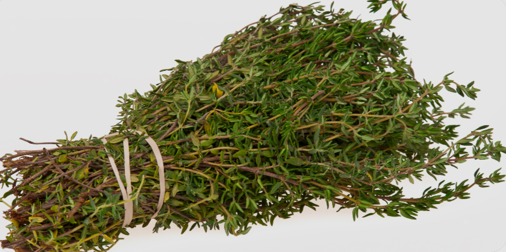 Thyme Triple Tincture