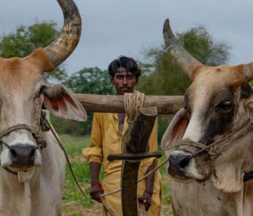 Is Something Weighing On You today?