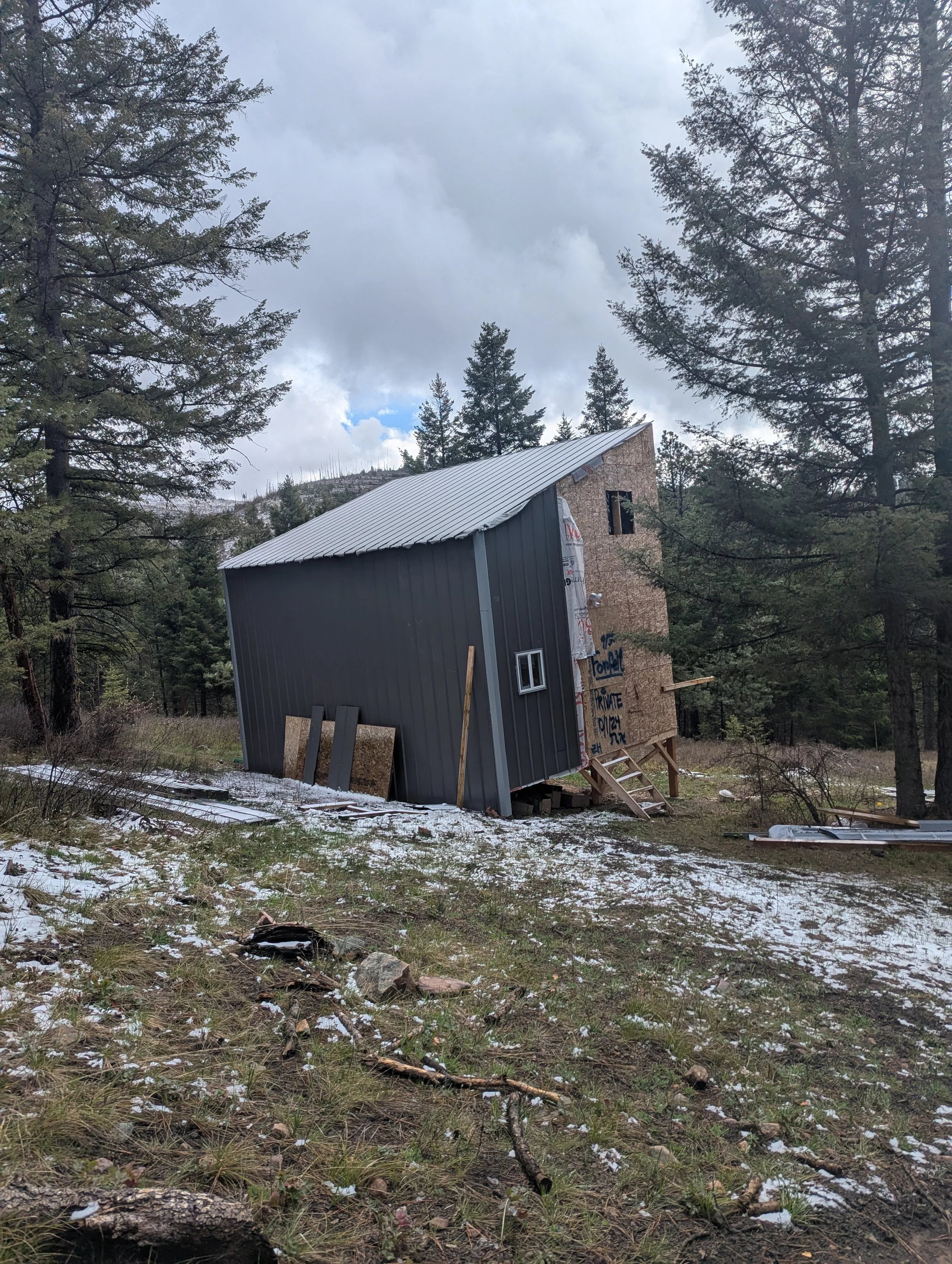 The Cabin In The Clearing