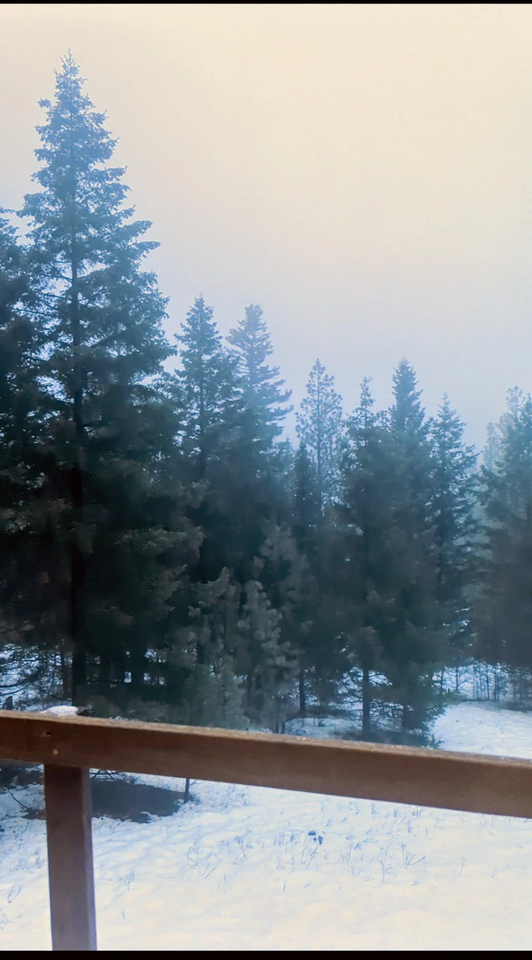 Dawn Hides in the Valley